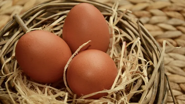 producto-huevo-jumbo-avicola-alianza