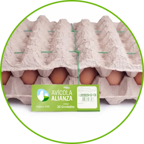 cubeta-huevos-avicola-alianza